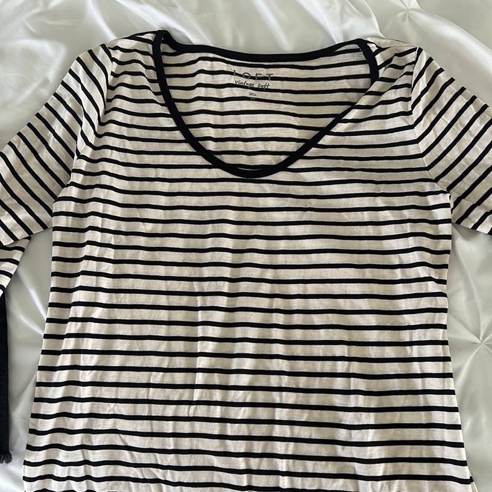 NWT loft cotton T shirt